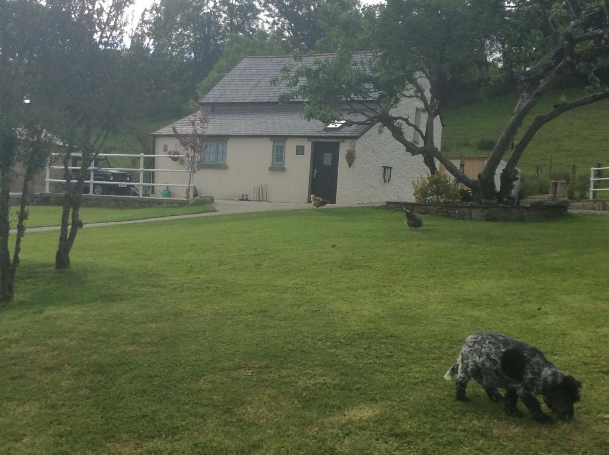 The Little Cow Shed Villa Swansea Exterior photo